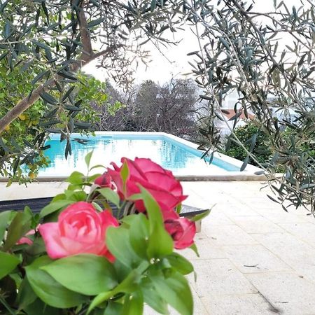 La Casa D'Olhao Villa Quelfes Eksteriør billede